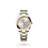 DATEJUST 41 M126303-0001 m126303-0001_collection_upright_landscape_243273750