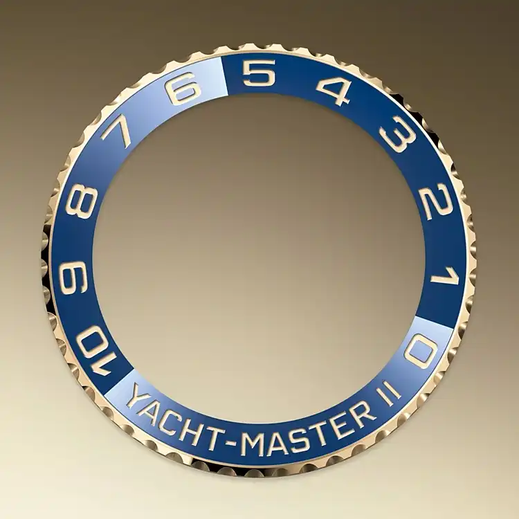 CINCIN COMMAND BEZEL